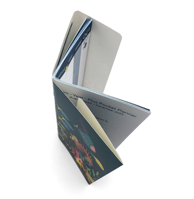 Katalog-Broschüren-Druckservice-Ausgleich A5 A3 mit Matte Lamination